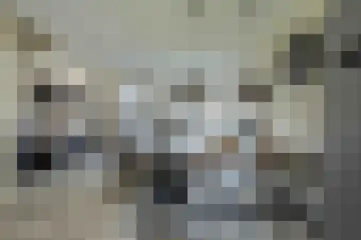 Kwartelkoning 7 Bruchem thumbnail 13