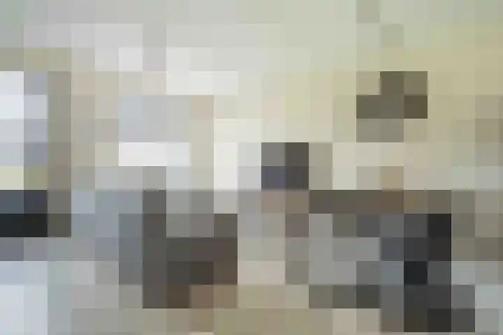 Kwartelkoning 7 Bruchem thumbnail 14