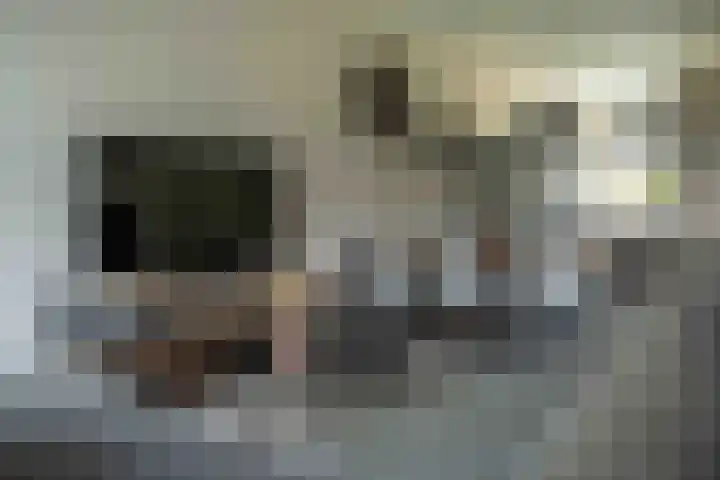 Kwartelkoning 7 Bruchem thumbnail 16