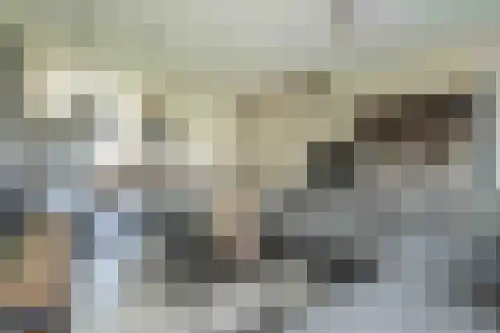 Kwartelkoning 7 Bruchem thumbnail 17