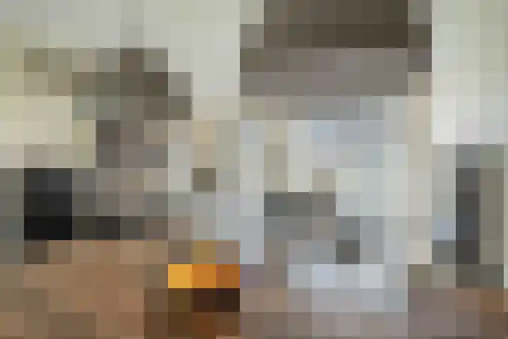 Kwartelkoning 7 Bruchem thumbnail 18