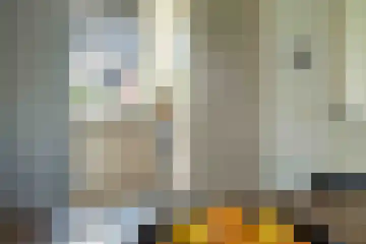 Kwartelkoning 7 Bruchem thumbnail 19