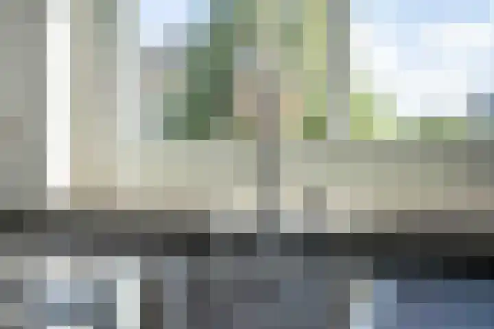 Kwartelkoning 7 Bruchem thumbnail 21