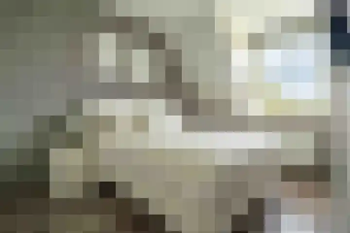 Kwartelkoning 7 Bruchem thumbnail 23