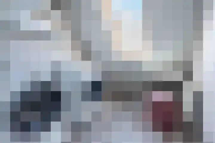 Kwartelkoning 7 Bruchem thumbnail 30