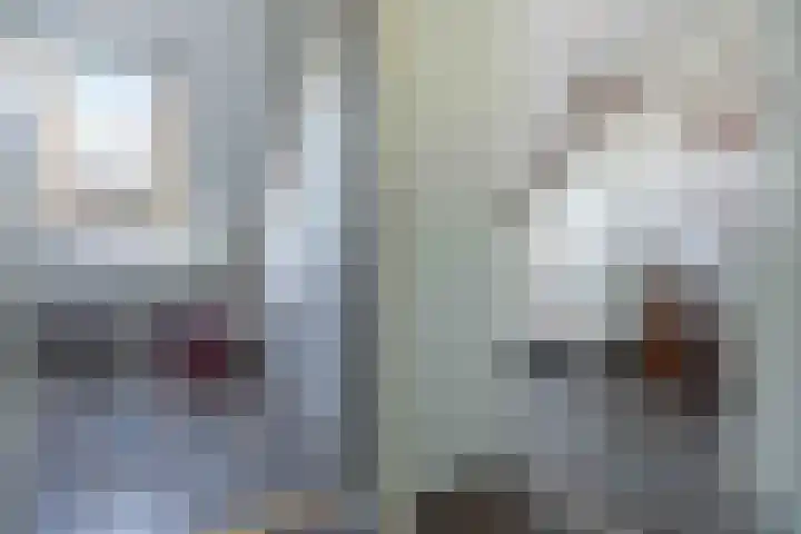 Kwartelkoning 7 Bruchem thumbnail 31