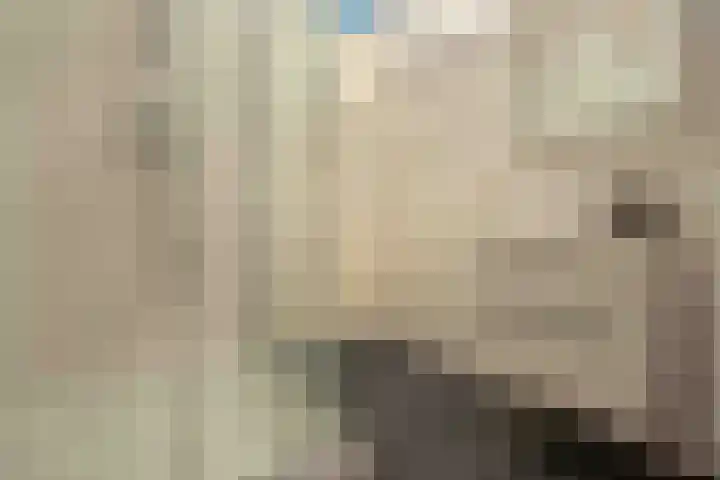 Kwartelkoning 7 Bruchem thumbnail 33