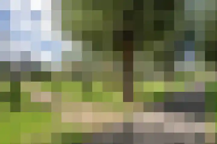Kwartelkoning 7 Bruchem thumbnail 36