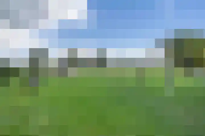 Kwartelkoning 7 Bruchem thumbnail 37