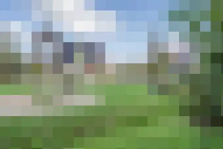Kwartelkoning 7 Bruchem thumbnail 38