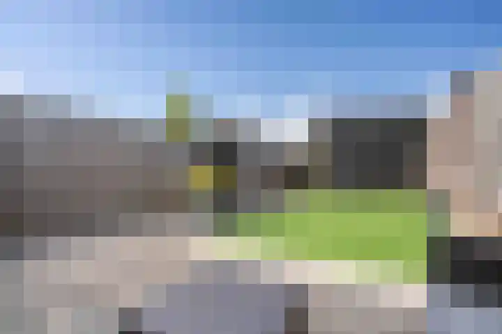 Kwartelkoning 7 Bruchem thumbnail 4