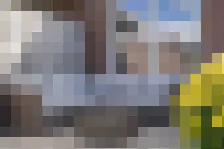 Kwartelkoning 7 Bruchem thumbnail 5