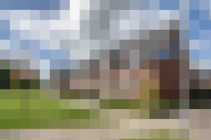 Kwartelkoning 7 Bruchem thumbnail 6