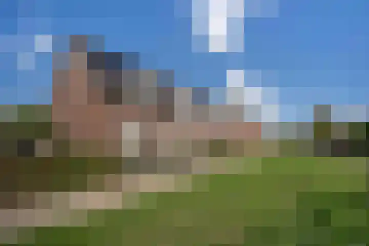 Kwartelkoning 7 Bruchem thumbnail 7