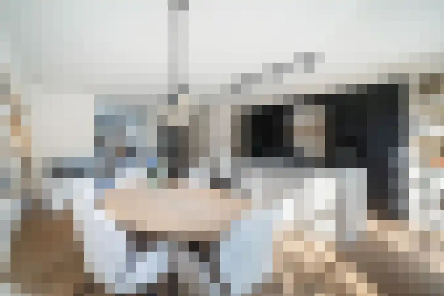 Kwartelkoninglande 3 Pijnacker thumbnail 10