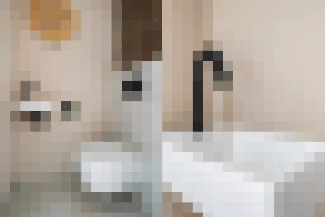 Kwartelkoninglande 3 Pijnacker thumbnail 19