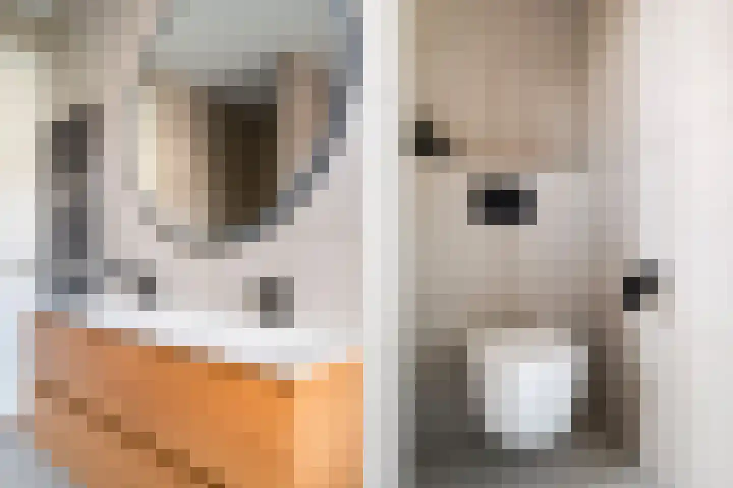 Kwartelkoninglande 3 Pijnacker thumbnail 24