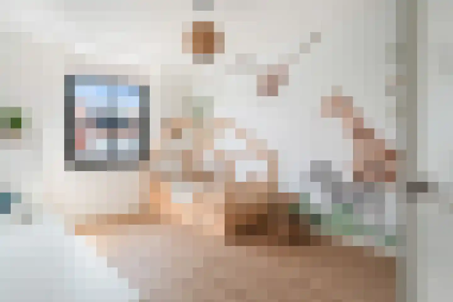 Kwartelkoninglande 3 Pijnacker thumbnail 25