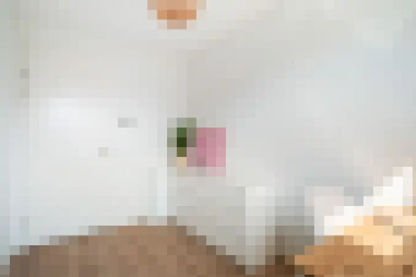 Kwartelkoninglande 3 Pijnacker thumbnail 29