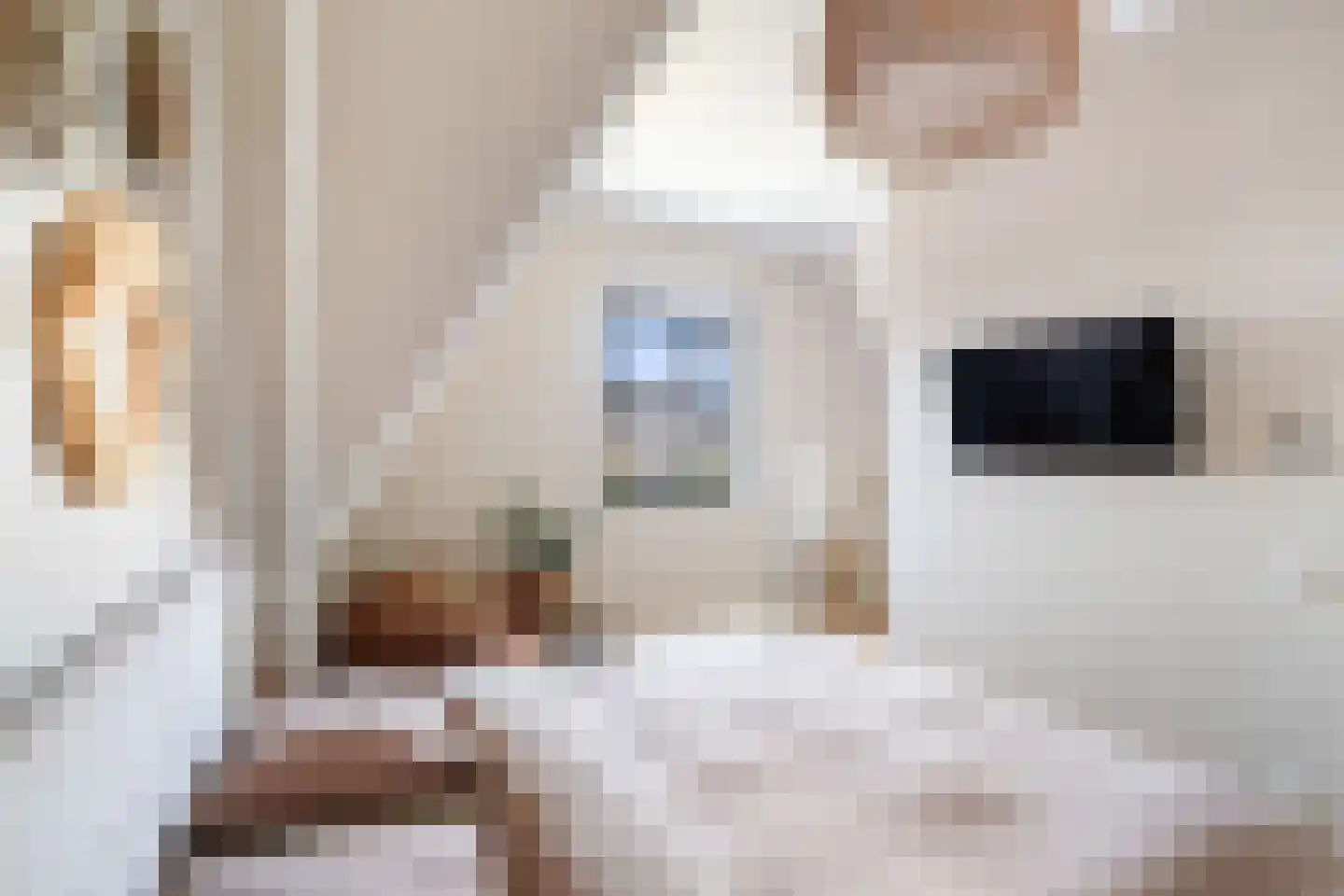 Kwartelkoninglande 3 Pijnacker thumbnail 31