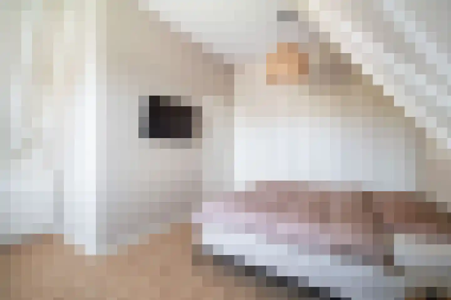 Kwartelkoninglande 3 Pijnacker thumbnail 32