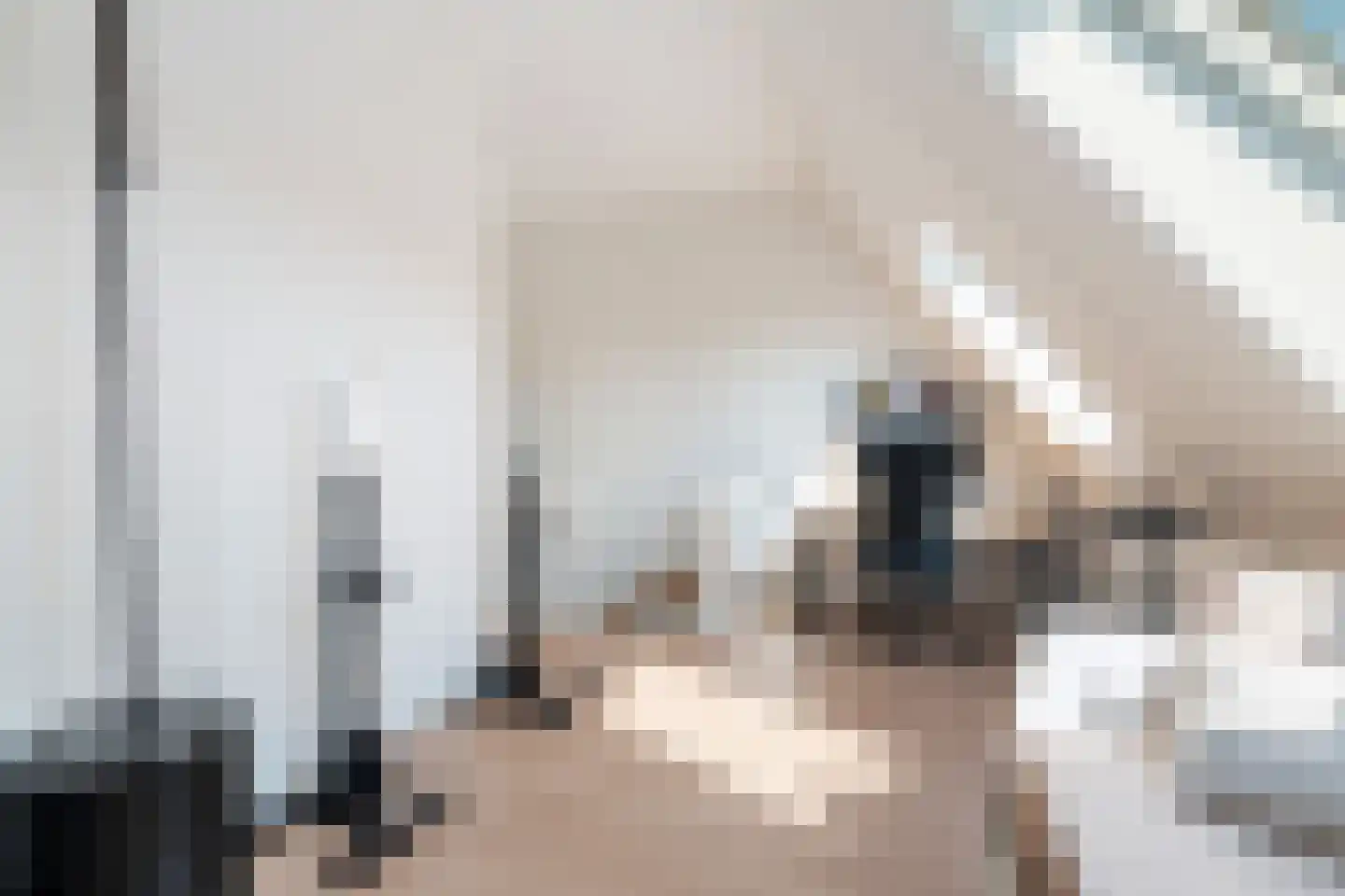 Kwartelkoninglande 3 Pijnacker thumbnail 36