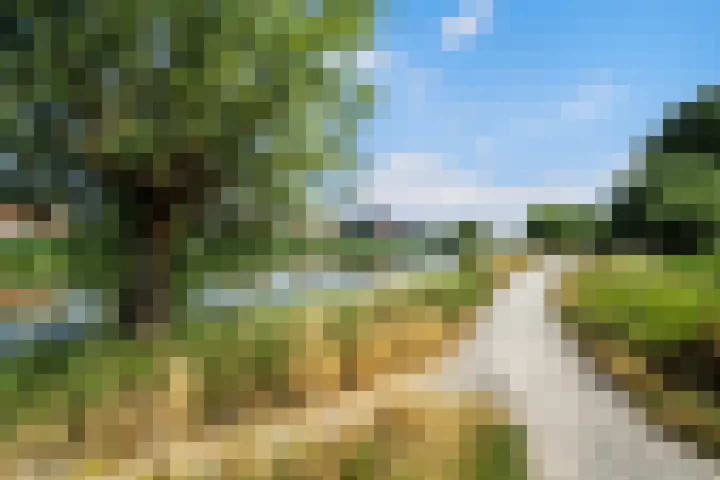 Kwartelkoninglande 3 Pijnacker thumbnail 38