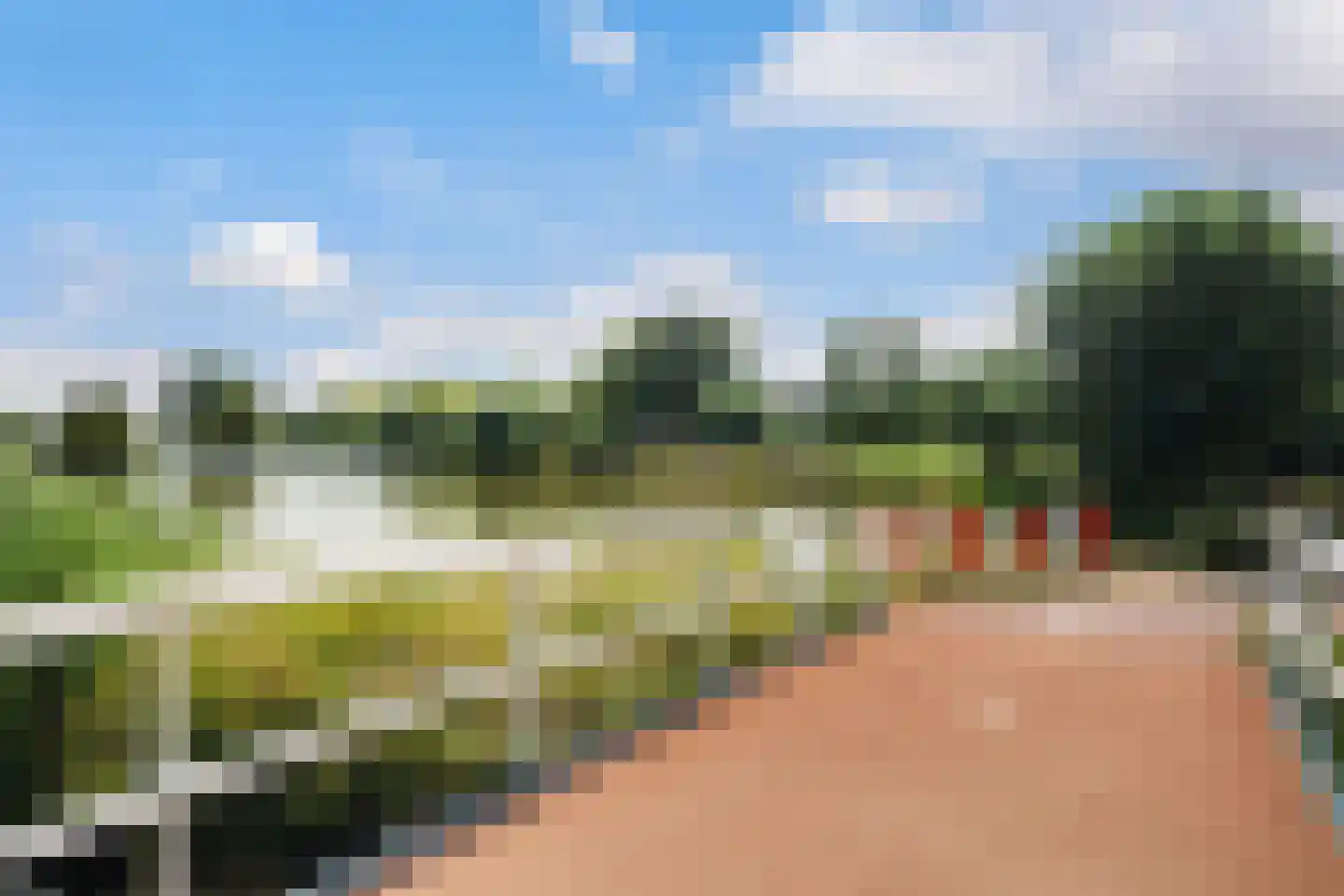 Kwartelkoninglande 3 Pijnacker thumbnail 39