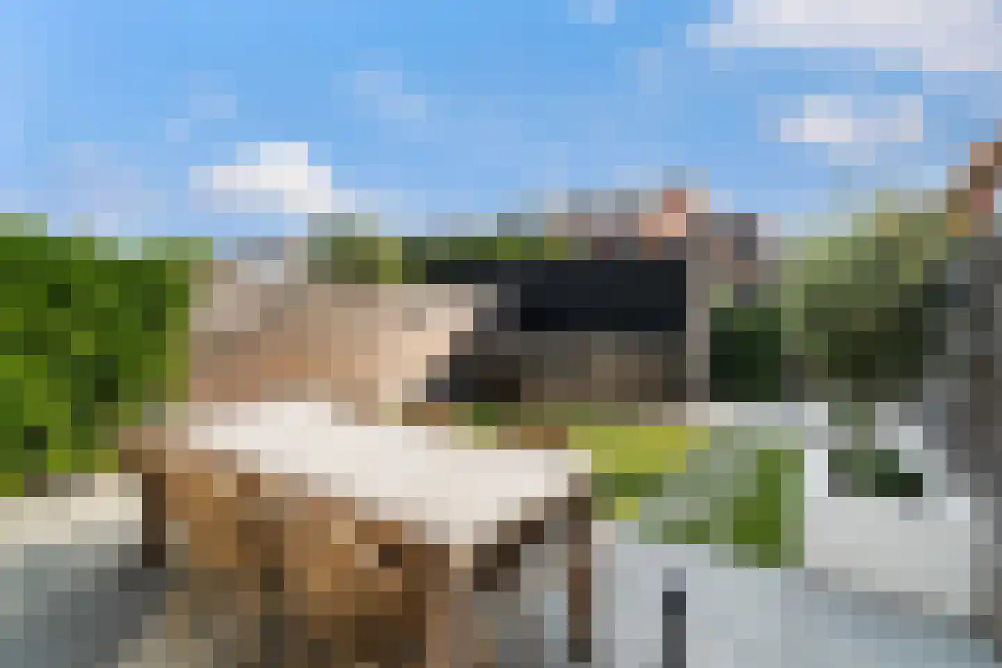 Kwartelkoninglande 3 Pijnacker thumbnail 4