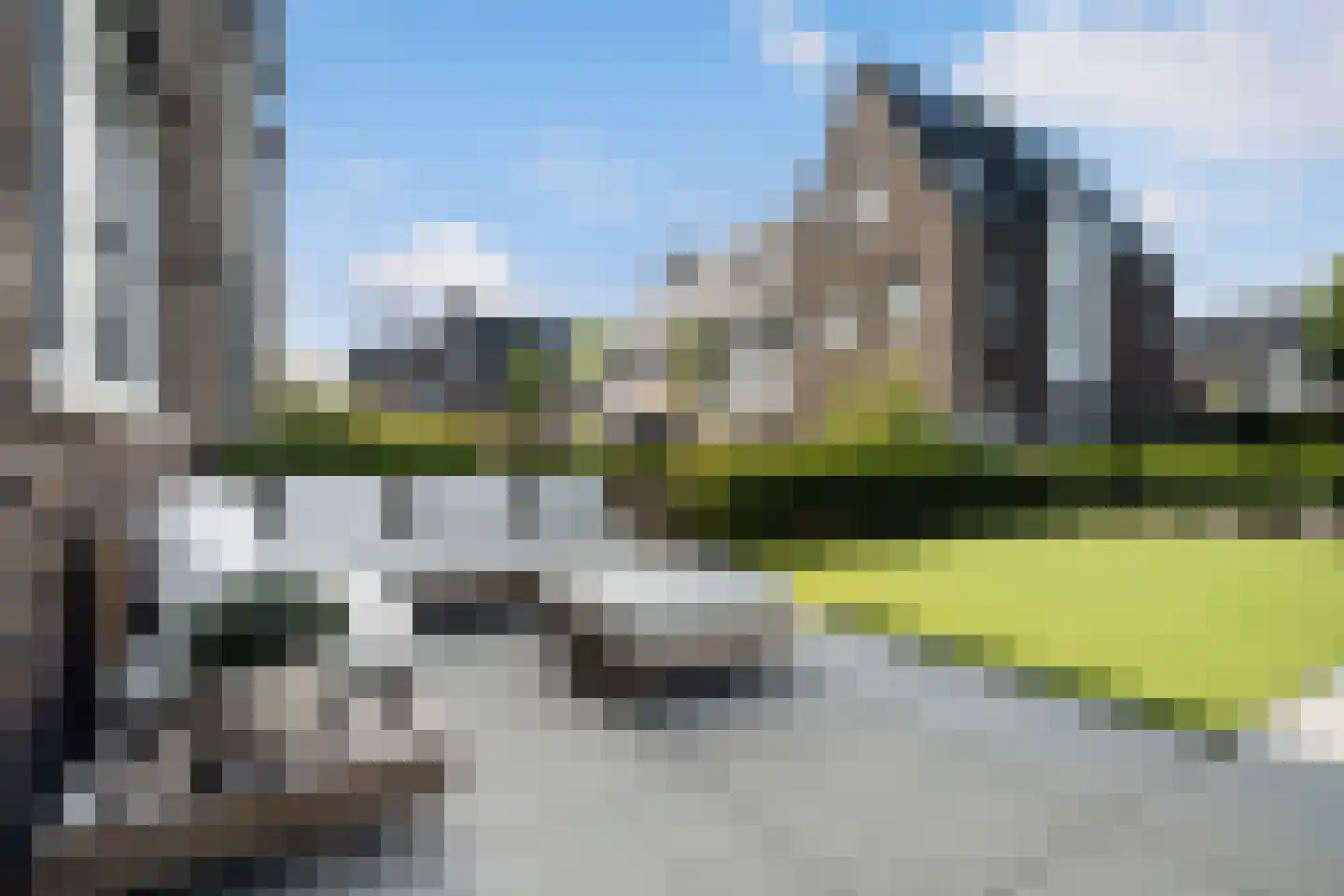 Kwartelkoninglande 3 Pijnacker thumbnail 5
