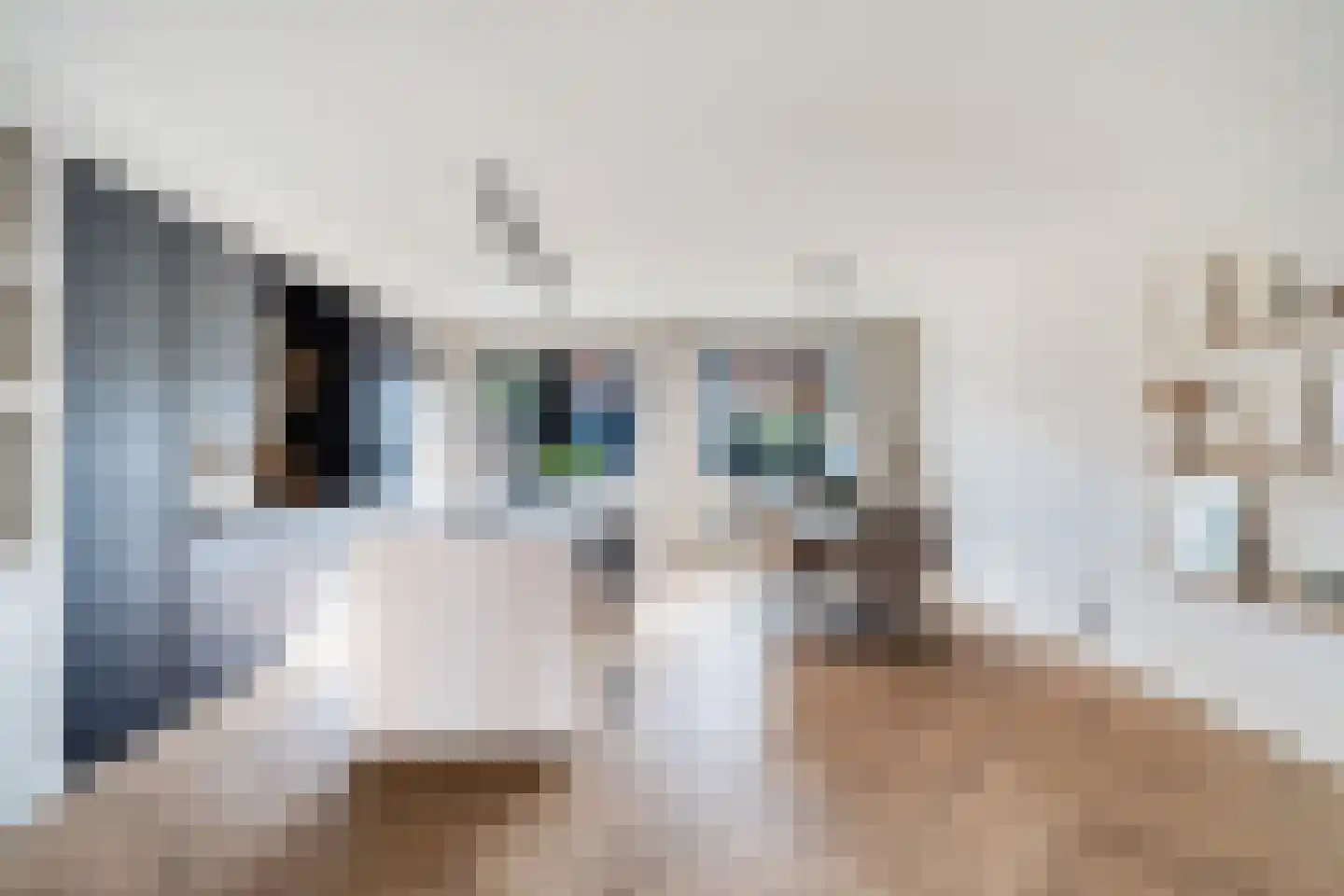Kwartelkoninglande 3 Pijnacker thumbnail 8
