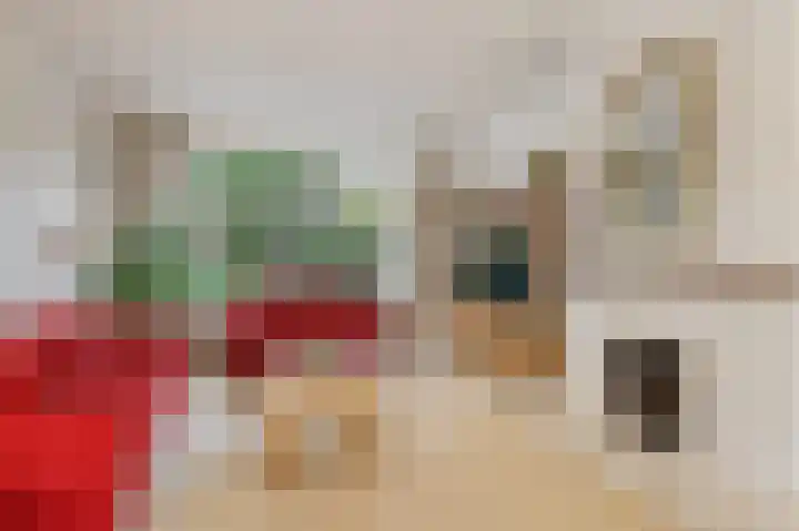 Kwartellaan 10 Heemstede thumbnail 10