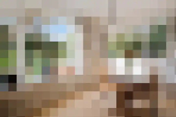 Kwartellaan 10 Heemstede thumbnail 11