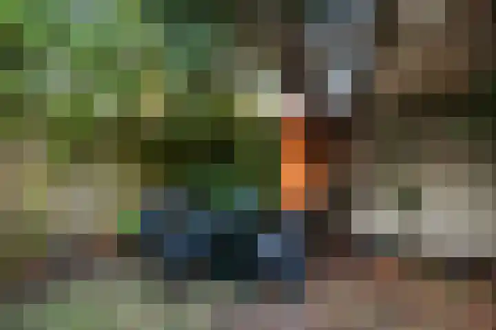 Kwartellaan 10 Heemstede thumbnail 20