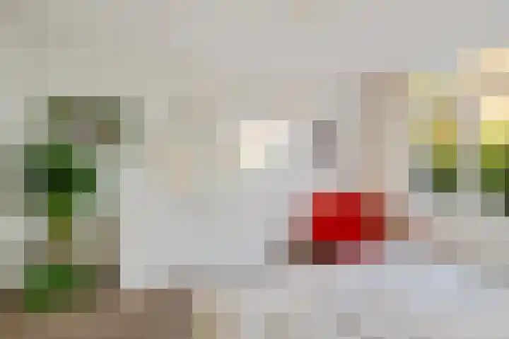 Kwartellaan 10 Heemstede thumbnail 27