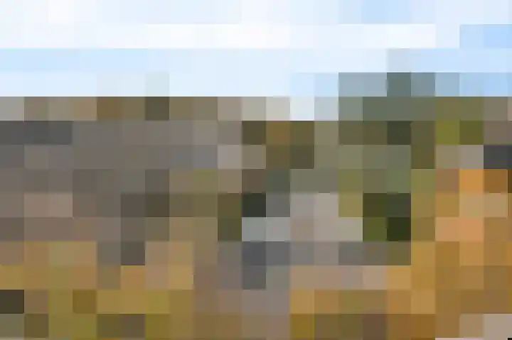 Kwartellaan 10 Heemstede thumbnail 41