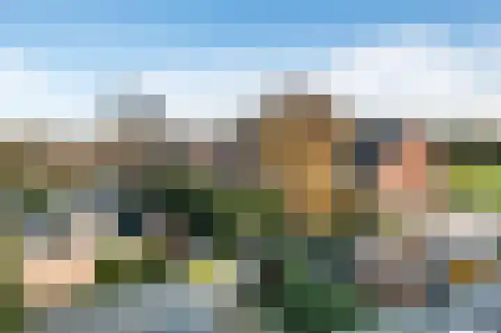 Kwartellaan 10 Heemstede thumbnail 42