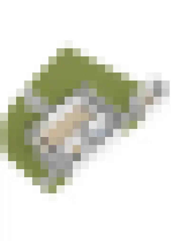 Kwartellaan 10 Heemstede thumbnail 47
