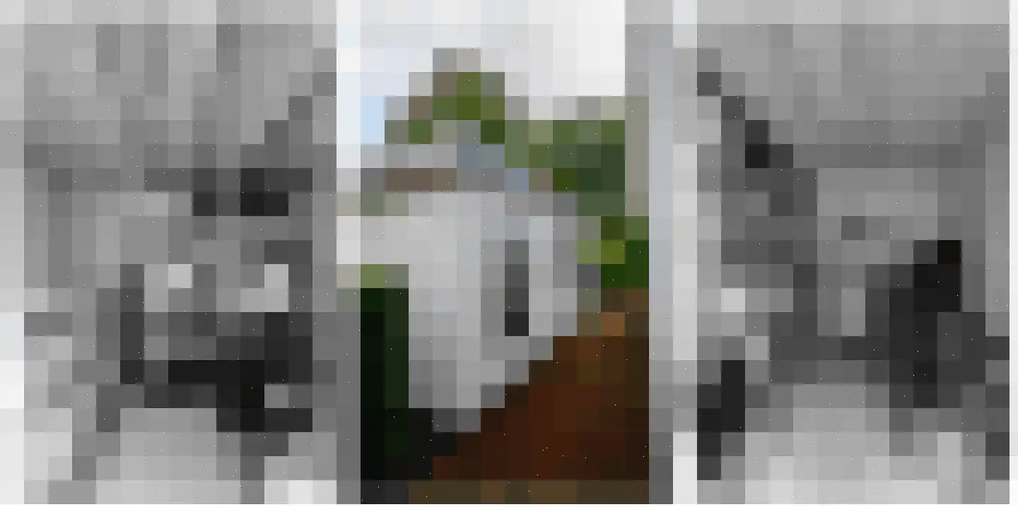Kwartellaan 16 Almere thumbnail 31