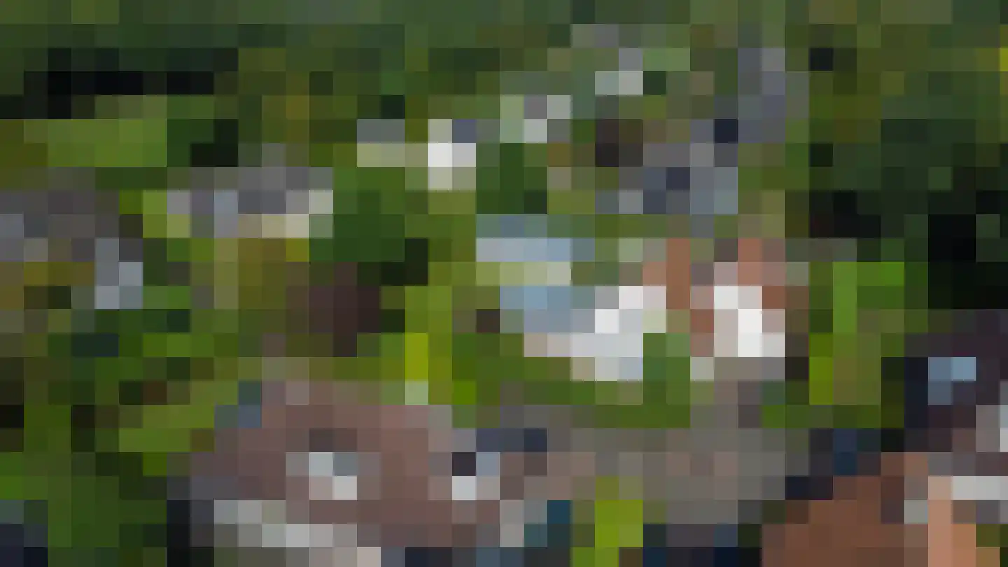 Kwartellaan 16 Almere thumbnail 32