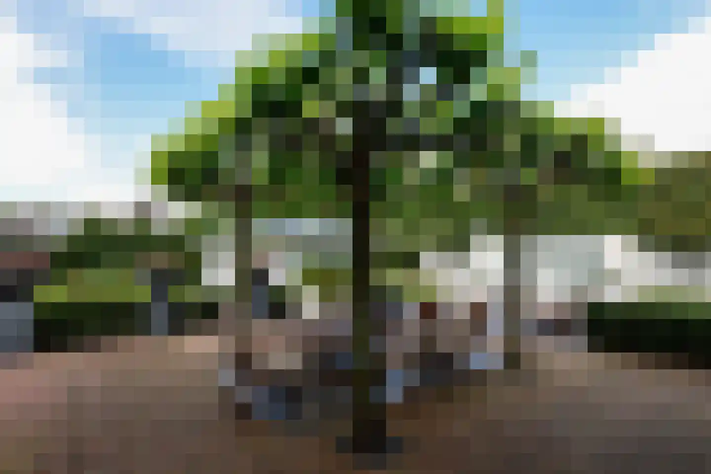 Kwartellaan 16 Almere thumbnail 35