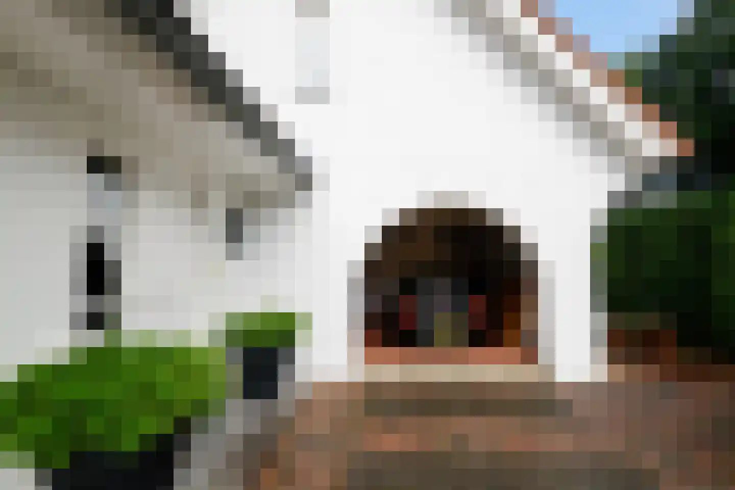 Kwartellaan 16 Almere thumbnail 4