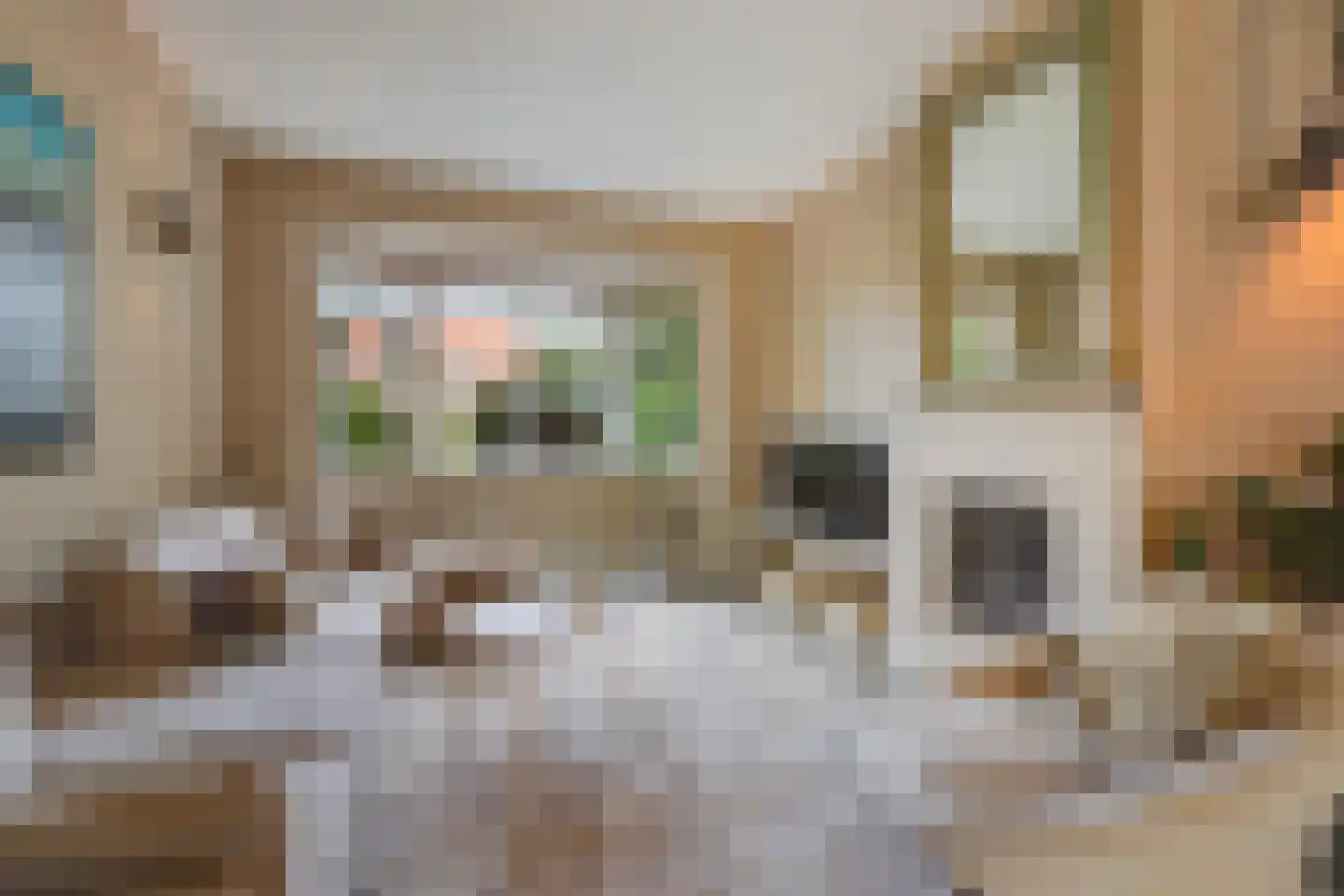 Kwartellaan 16 Den Haag thumbnail 10