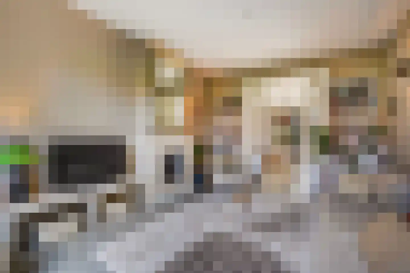 Kwartellaan 16 Den Haag thumbnail 13