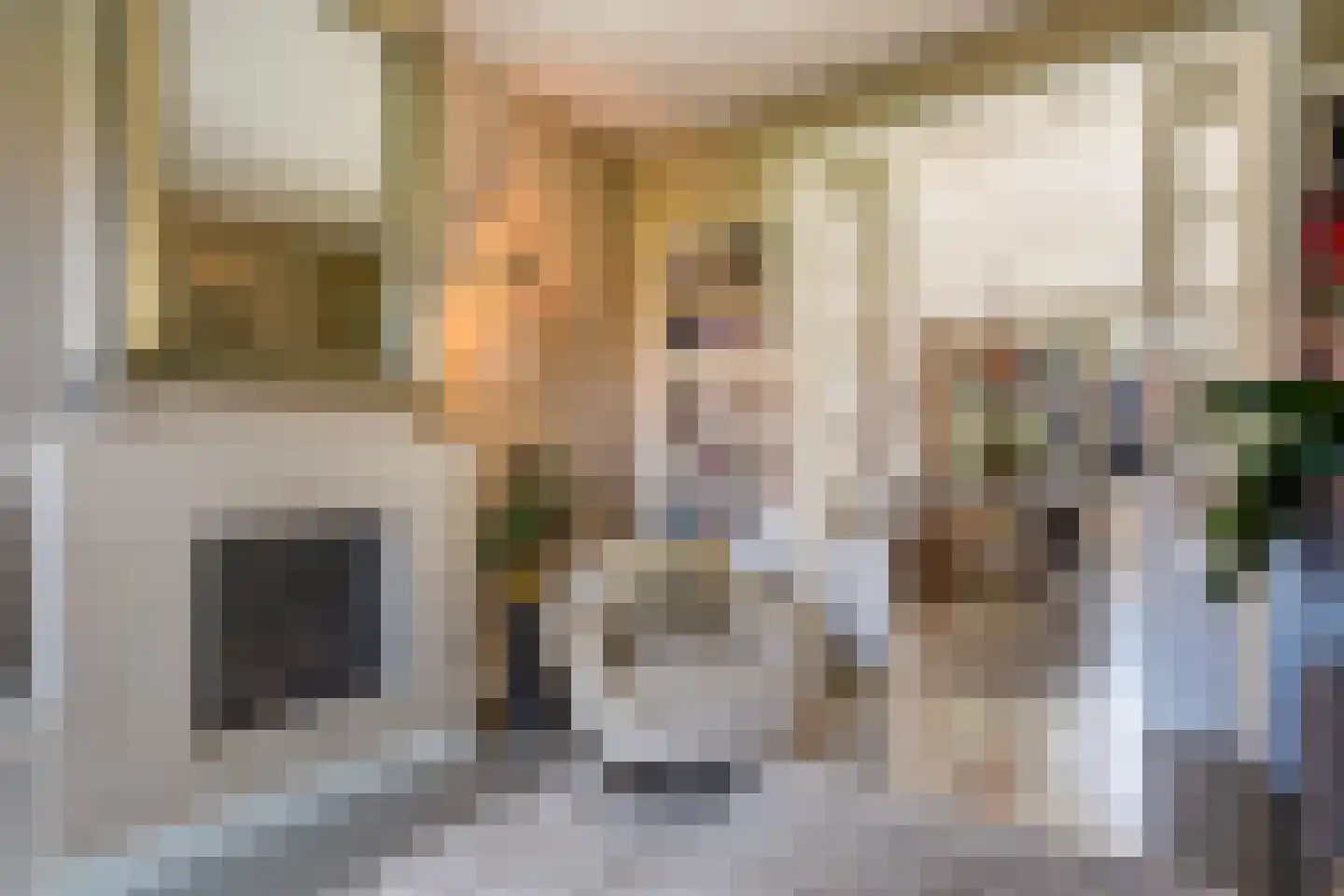 Kwartellaan 16 Den Haag thumbnail 14