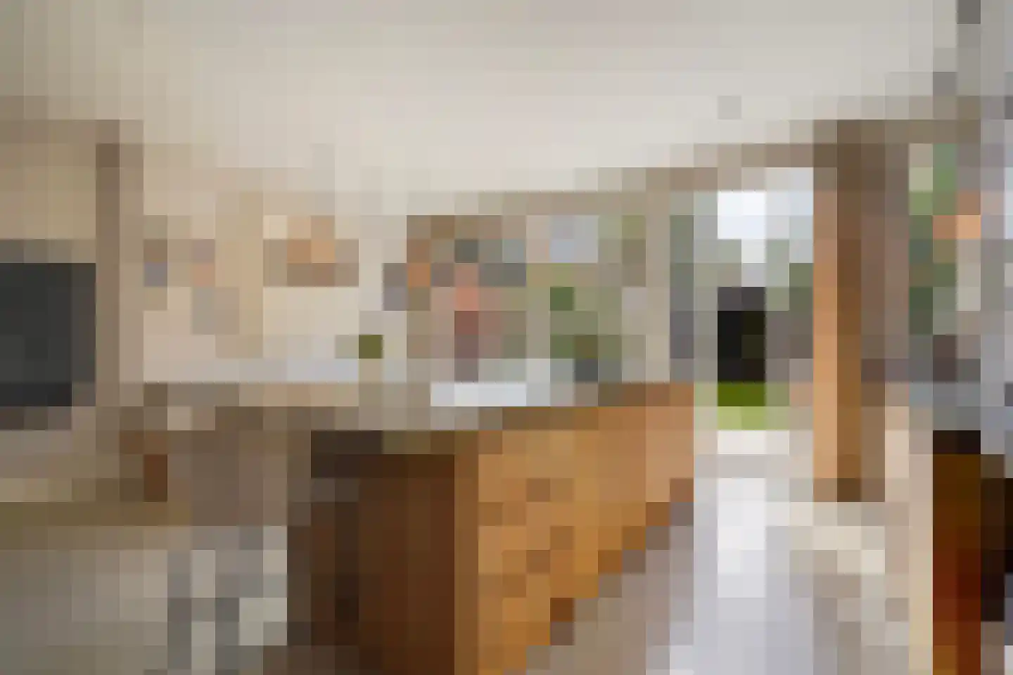 Kwartellaan 16 Den Haag thumbnail 18