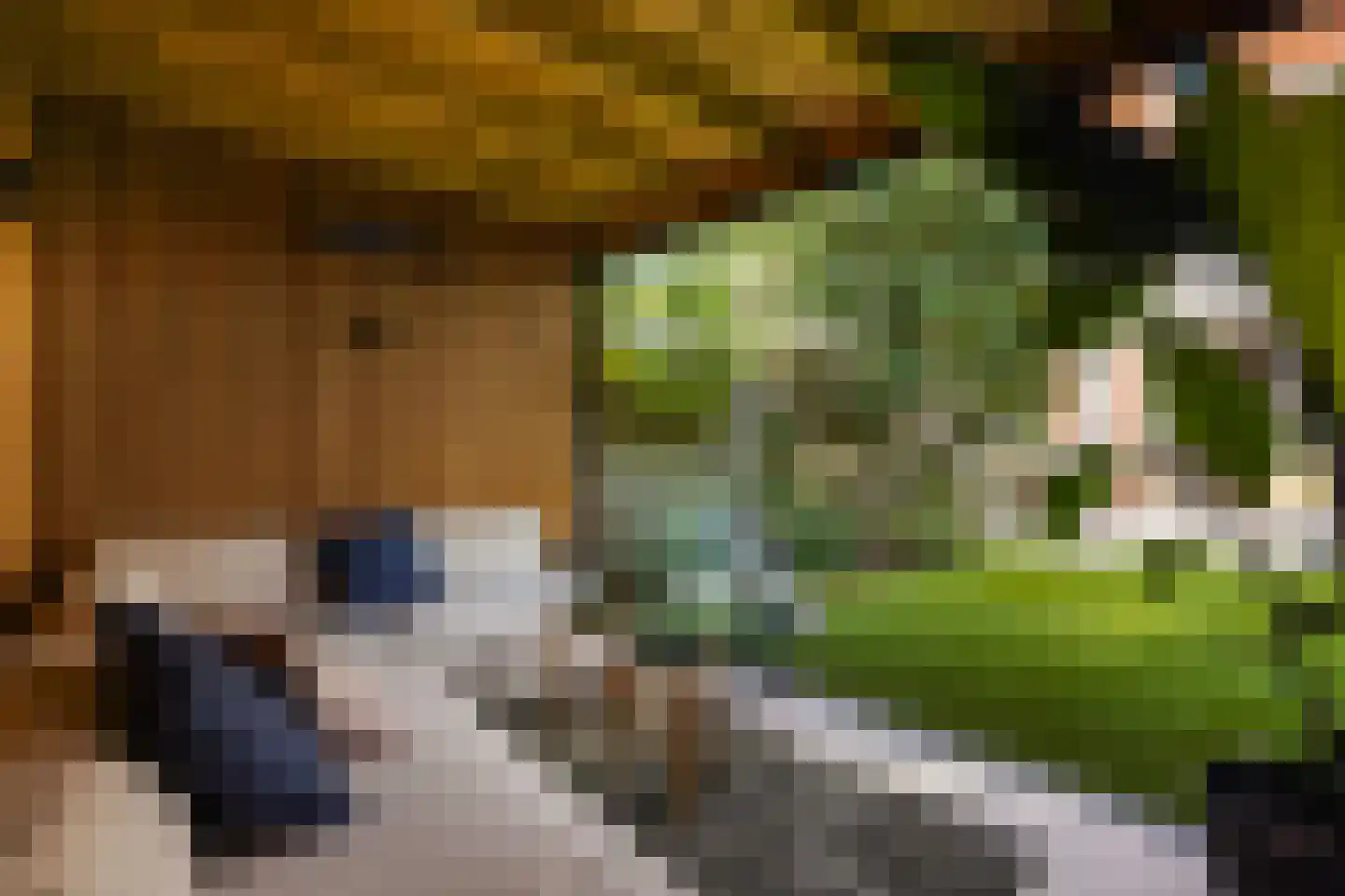Kwartellaan 16 Den Haag thumbnail 24