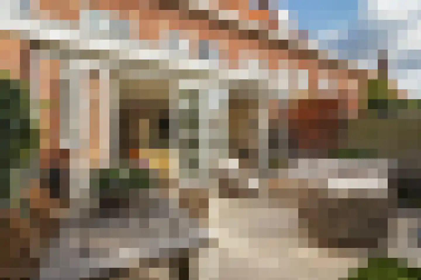 Kwartellaan 16 Den Haag thumbnail 26