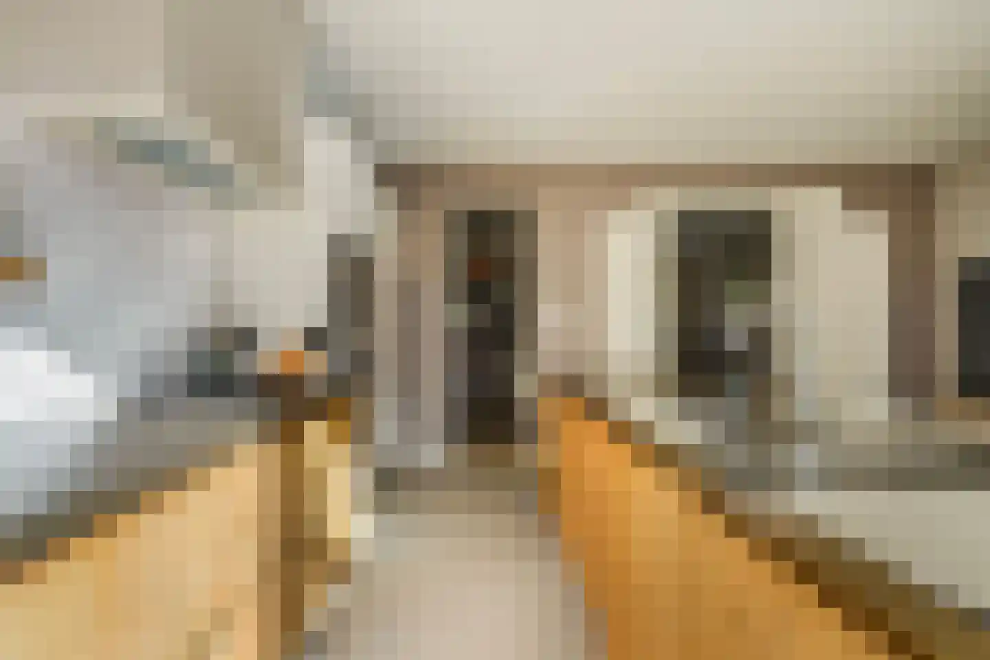 Kwartellaan 16 Den Haag thumbnail 28