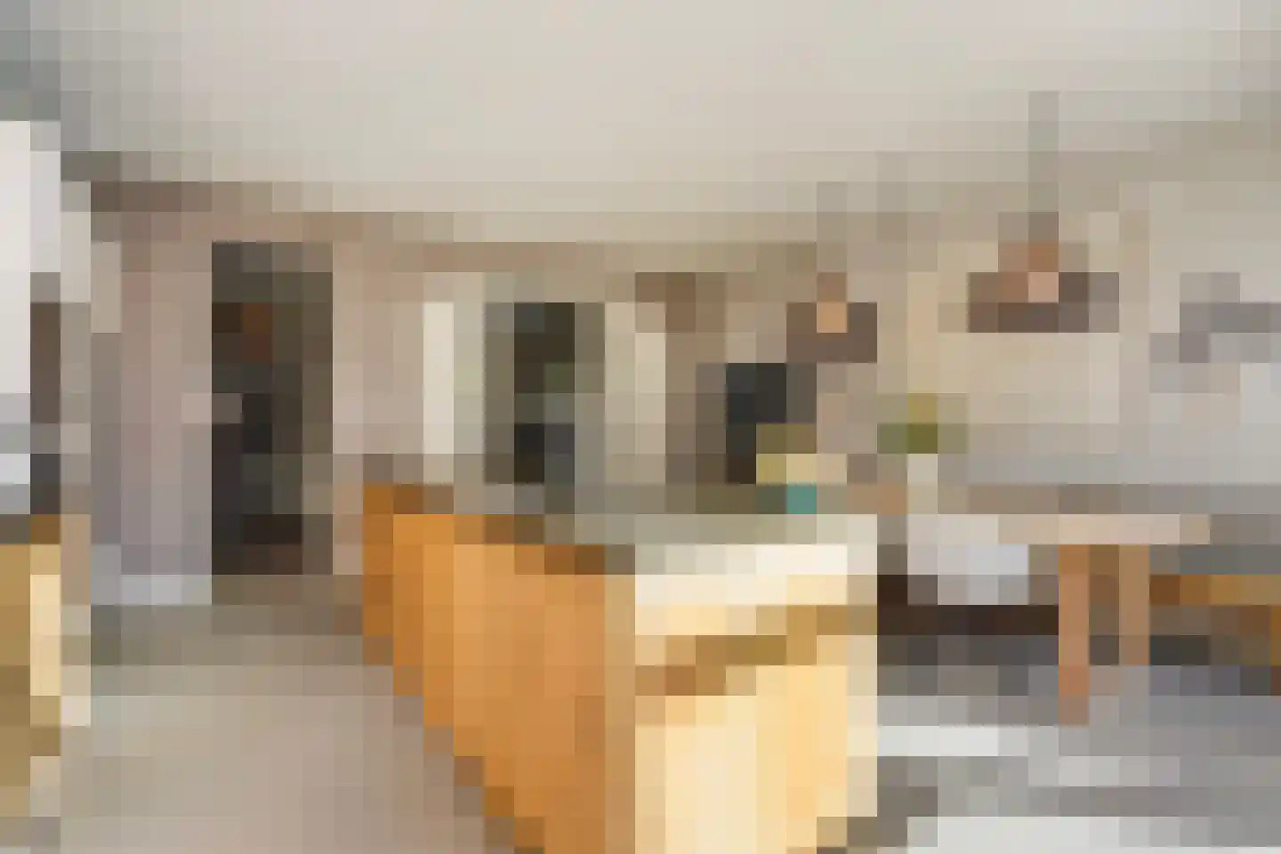 Kwartellaan 16 Den Haag thumbnail 29